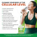 zeolite-clinoptilolite-detox-powder-7oz--3.jpg