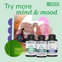 zhou-brain-energy-support-bundle-nootrop-5.jpg