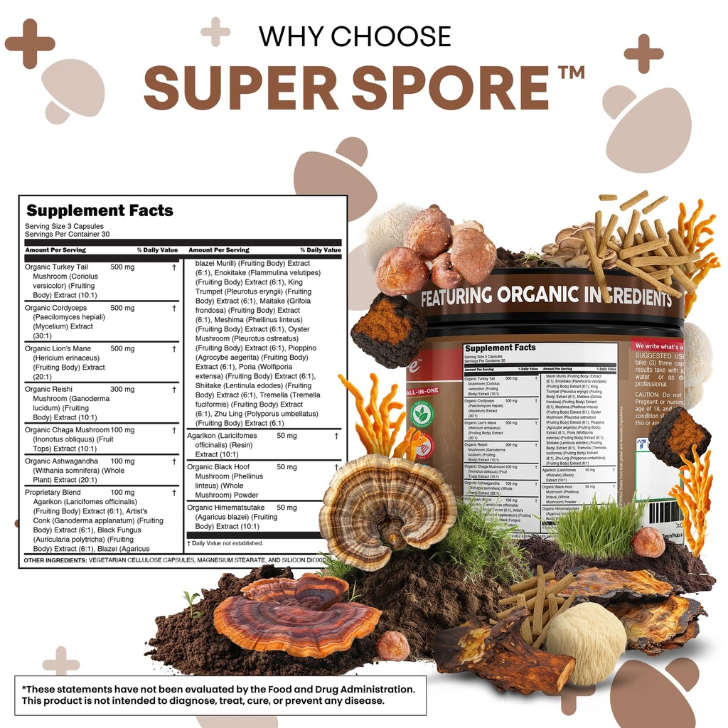 organic-turkey-tail-mushroom-supplement--5.jpg