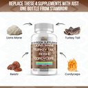 stamiron-lions-mane-supplement-turkey-ta-2.jpg