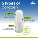 wound-healing-supplement-collagen-comple-5.jpg