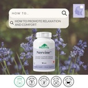 provita-nervine-natural-relaxation-nervo-2.jpg