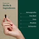 gaia-herbs-pro-daytime-hpa-adaptogen-sup-4.jpg