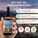 herbera-pennsylvania-herbal-detox-blend--2.jpg