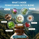 herbera-pennsylvania-herbal-detox-blend--4.jpg