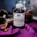 anima-mundi-apothecary-schisandra-rose-e-3.jpg