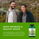swanson-full-spectrum-schizandra-berries-6.jpg