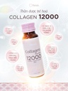 collagen-peptide-12000-supplement-1-7-fl-3.jpg
