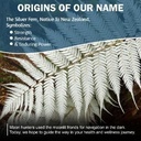 silver-fern-brand-supplement-bundle-buil-6.jpg