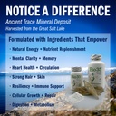 bio35-300-sg-original-gluten-free-daily--4.jpg