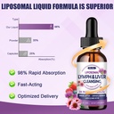 liposomal-lymphatic-drainage-drops-26-in-6.jpg