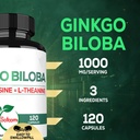 satoomi-1000mg-ginkgo-biloba-supplements-3.jpg