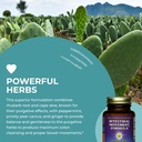 healthforce-superfoods-intestinal-moveme-5.jpg