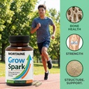 mortaine-grow-spark-supplement-nutrient--3.jpg