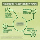sunwarrior-probiotics-soil-based-vegan-c-4.jpg