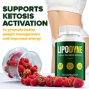 3-pack-lipodyne-advanced-capsule-formula-5.jpg