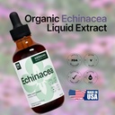 echinacea-4-fl-oz-liquid-extract---organ-5.jpg