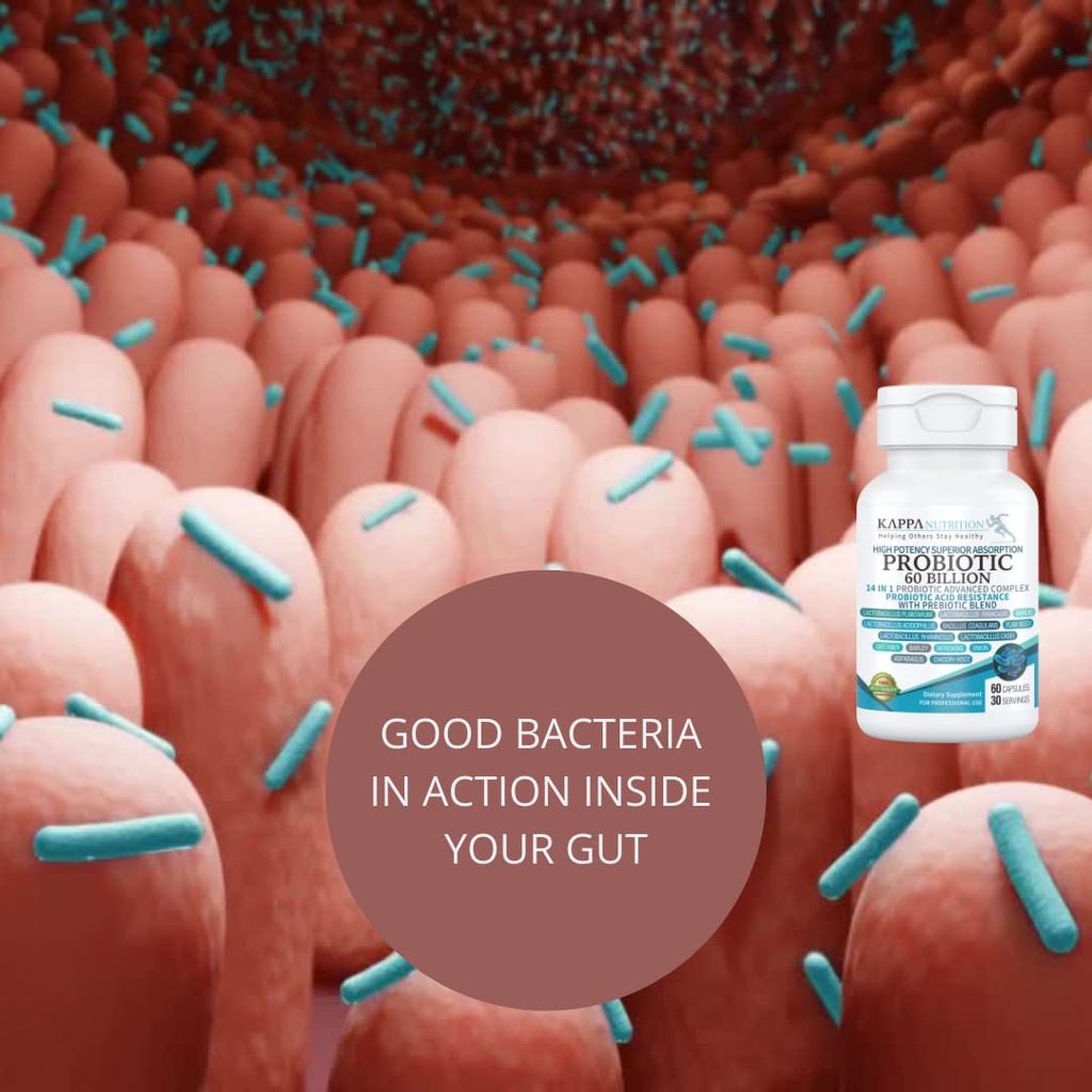kappa-nutrition-probiotic-60-billion-cfu-5.jpg