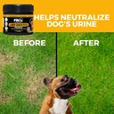 pet-chef-lawn-saver-soft-chew-vegan-baco-4.jpg
