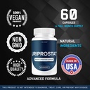 2-pack-uriprostat-capsules-official-urip-4.jpg