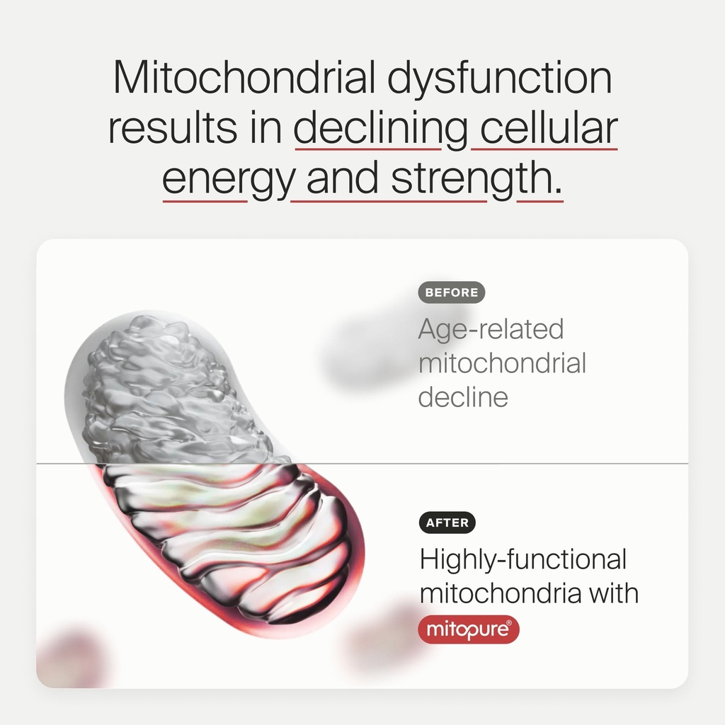 timeline-mitopure-urolithin-a-supplement-5.jpg