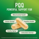 pqq-supplement-40-mg-high-strength-pyrro-3.jpg