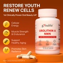 gynable-4-in-1-urolithin-a-supplement-wi-2.jpg