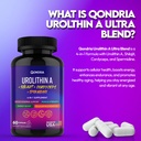 urolithin-a-supplement-500mg-with-4-in-1-2.jpg