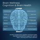 all-in-one-nootropic-brain-supplement-fo-4.jpg