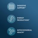 dr-mercola-organic-resistant-starch-comp-3.jpg