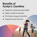 pureformulas-acetyl-l-carnitine-cognitiv-6.jpg
