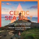 celtic-sea-salt-electrolyte-powder-magne-2.jpg