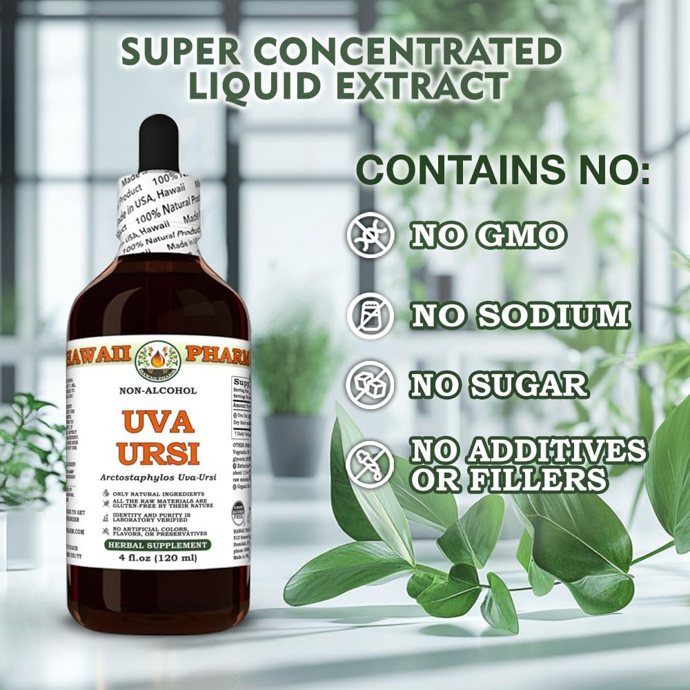 uva-ursi-arctostaphylos-uva-ursi-dry-her-6.jpg