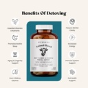 mensana-daily-mineral-and-vitamin-suppor-3.jpg