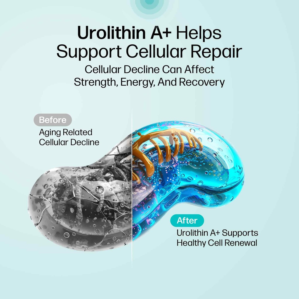urolithin-a-supplement-1000mg-urolithin--4.jpg