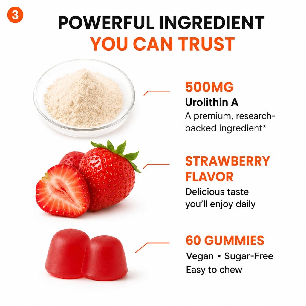 foundation-gummies-500mg-urolithin-a-sup-4.jpg
