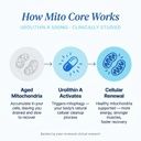 mito-core-500mg-urolithin-a-supplement-m-4.jpg