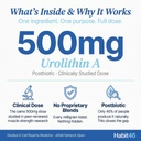 mito-core-500mg-urolithin-a-supplement-m-3.jpg