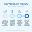 mito-core-500mg-urolithin-a-supplement-m-6.jpg