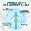nad-supplement-pure-organic-nmn-suppleme-2.jpg