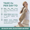 nad-supplement-pure-organic-nmn-suppleme-6.jpg