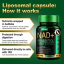 liposomal-nad-resveratrol-complex-400mg--5.jpg