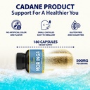 cadane-moringa-extract-capsules-6-months-2.jpg