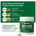 nivora-broc-high-density-sulforaphane-im-6.jpg