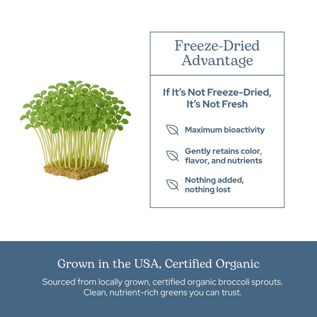 eclectic-herb-organic-broccoli-sprouts-c-5.jpg