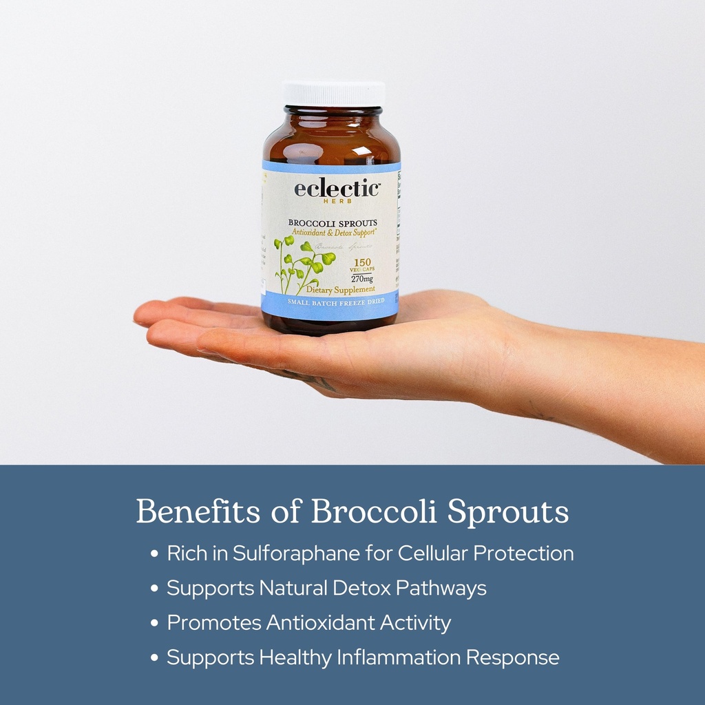 eclectic-herb-organic-broccoli-sprouts-c-4.jpg