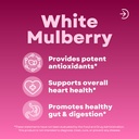 white-mulberry-leaf-extract-1000mg-12-1--2.jpg
