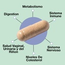 asulabs-formula-probiotica-avanzada-con--5.jpg