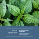 eclectic-herb-nettle-quercetin-capsules--3.jpg