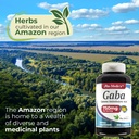 fito-medic-s-lab-gaba-750-mg-per-serving-4.jpg
